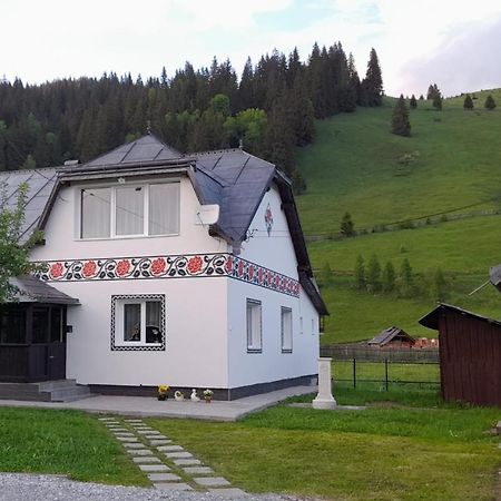 Casa Dumitru Si Elena Ciocanesti Bucovina Luaran gambar