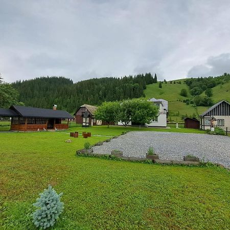 Casa Dumitru Si Elena Ciocanesti Bucovina Luaran gambar