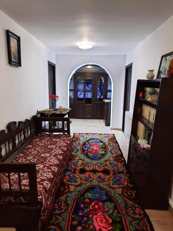 Casa Dumitru Si Elena Ciocanesti Bucovina Luaran gambar