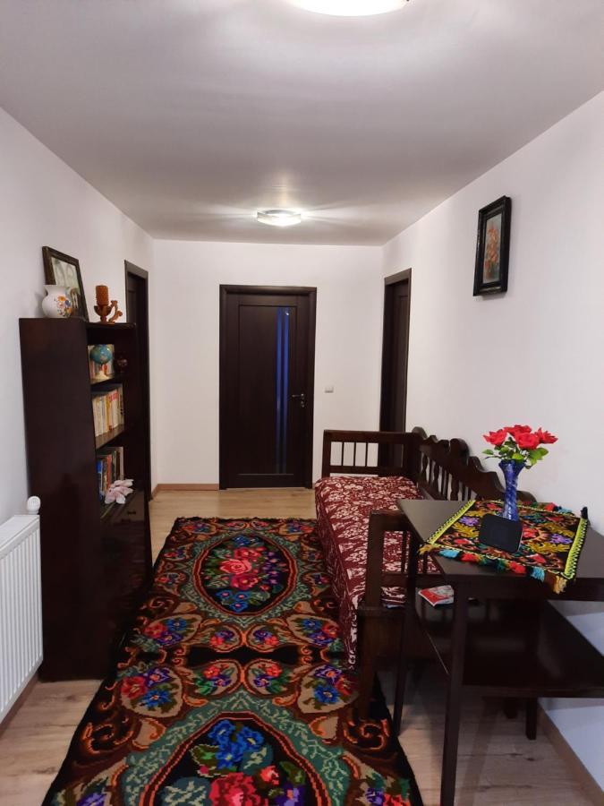 Casa Dumitru Si Elena Ciocanesti Bucovina Luaran gambar