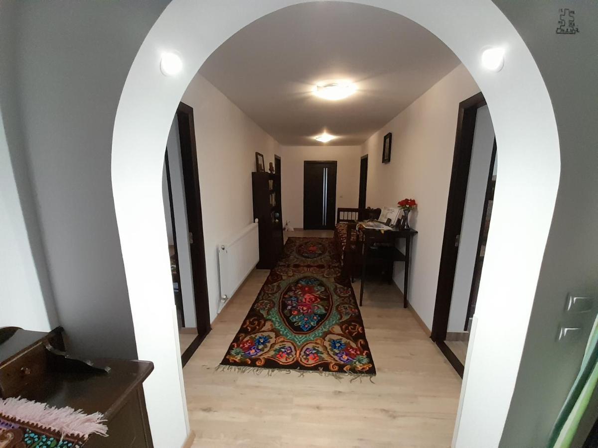 Casa Dumitru Si Elena Ciocanesti Bucovina Luaran gambar