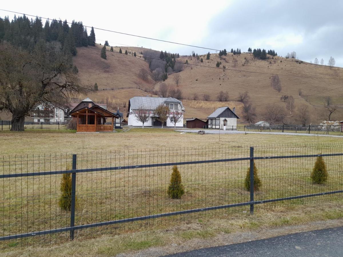 Casa Dumitru Si Elena Ciocanesti Bucovina Luaran gambar