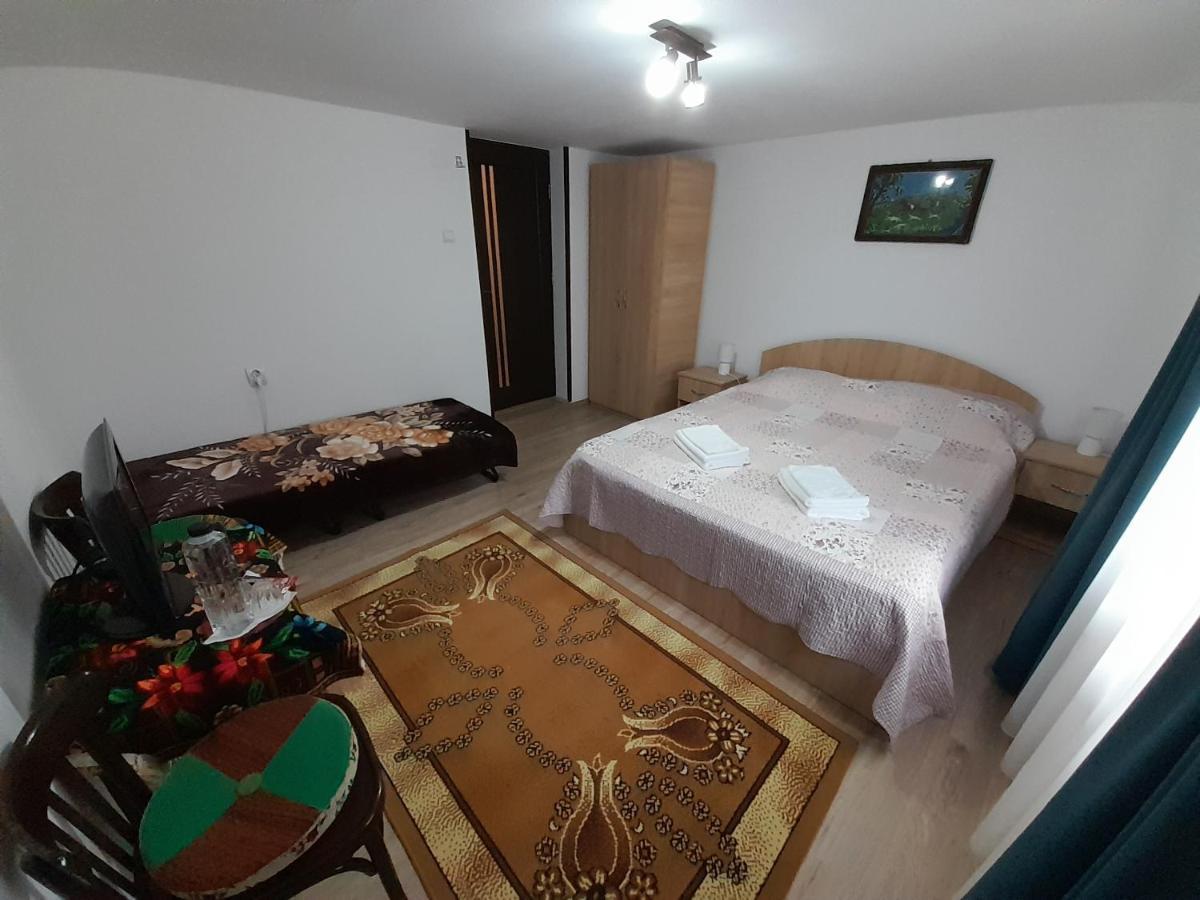 Casa Dumitru Si Elena Ciocanesti Bucovina Luaran gambar