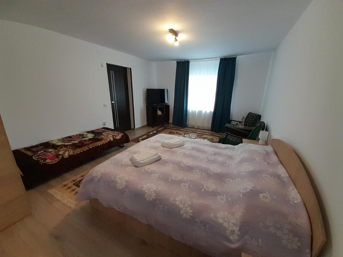 Casa Dumitru Si Elena Ciocanesti Bucovina Luaran gambar