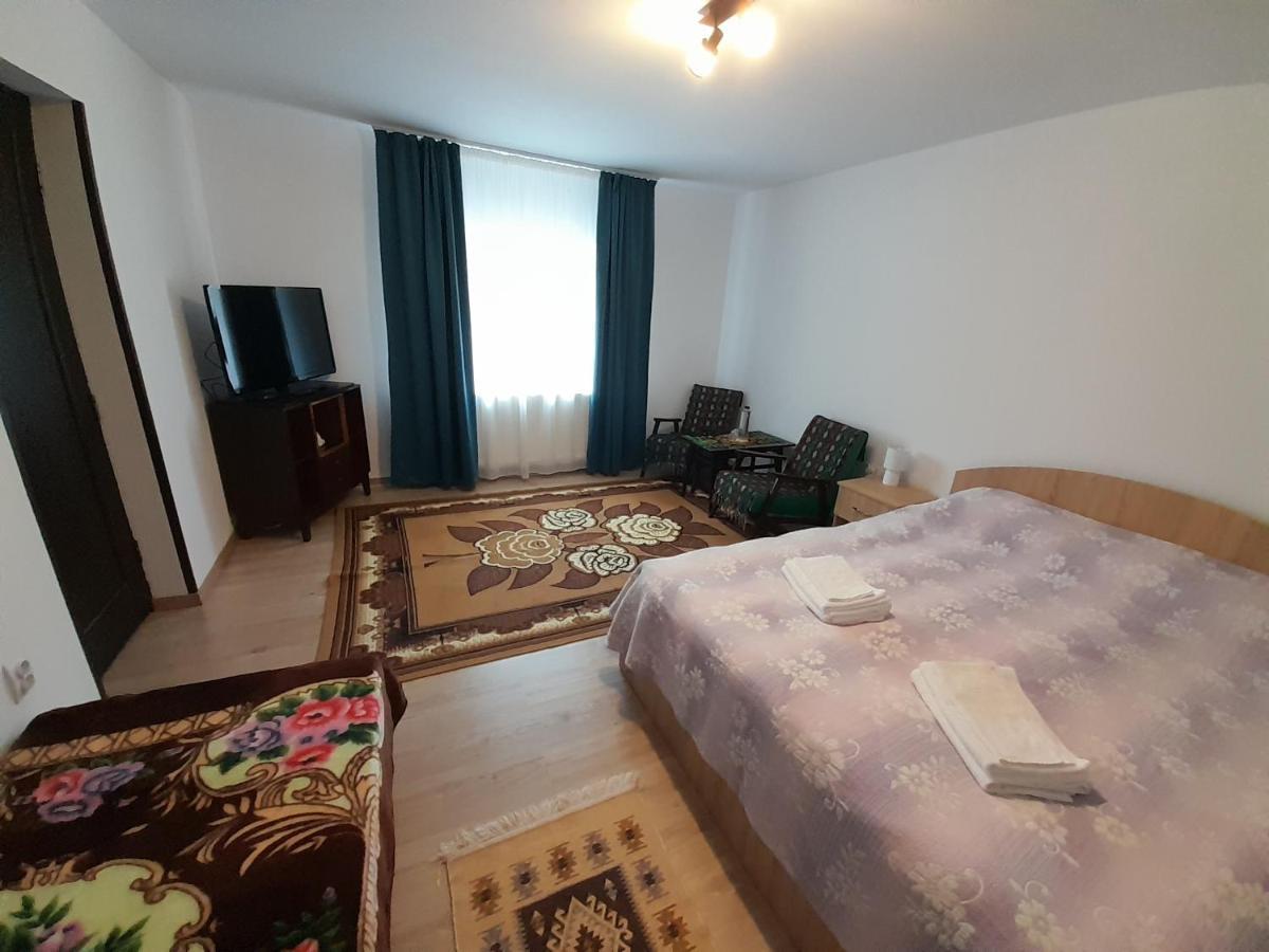 Casa Dumitru Si Elena Ciocanesti Bucovina Luaran gambar