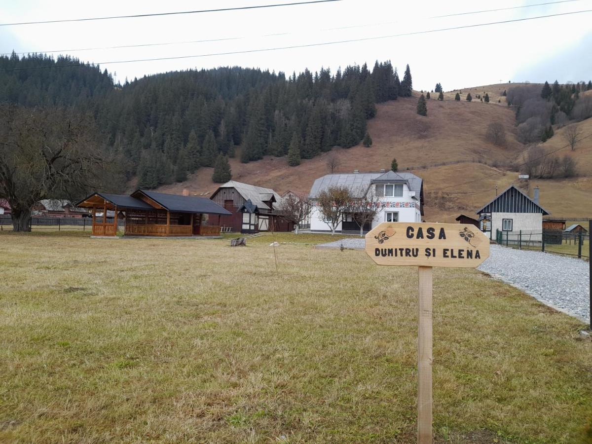 Casa Dumitru Si Elena Ciocanesti Bucovina Luaran gambar