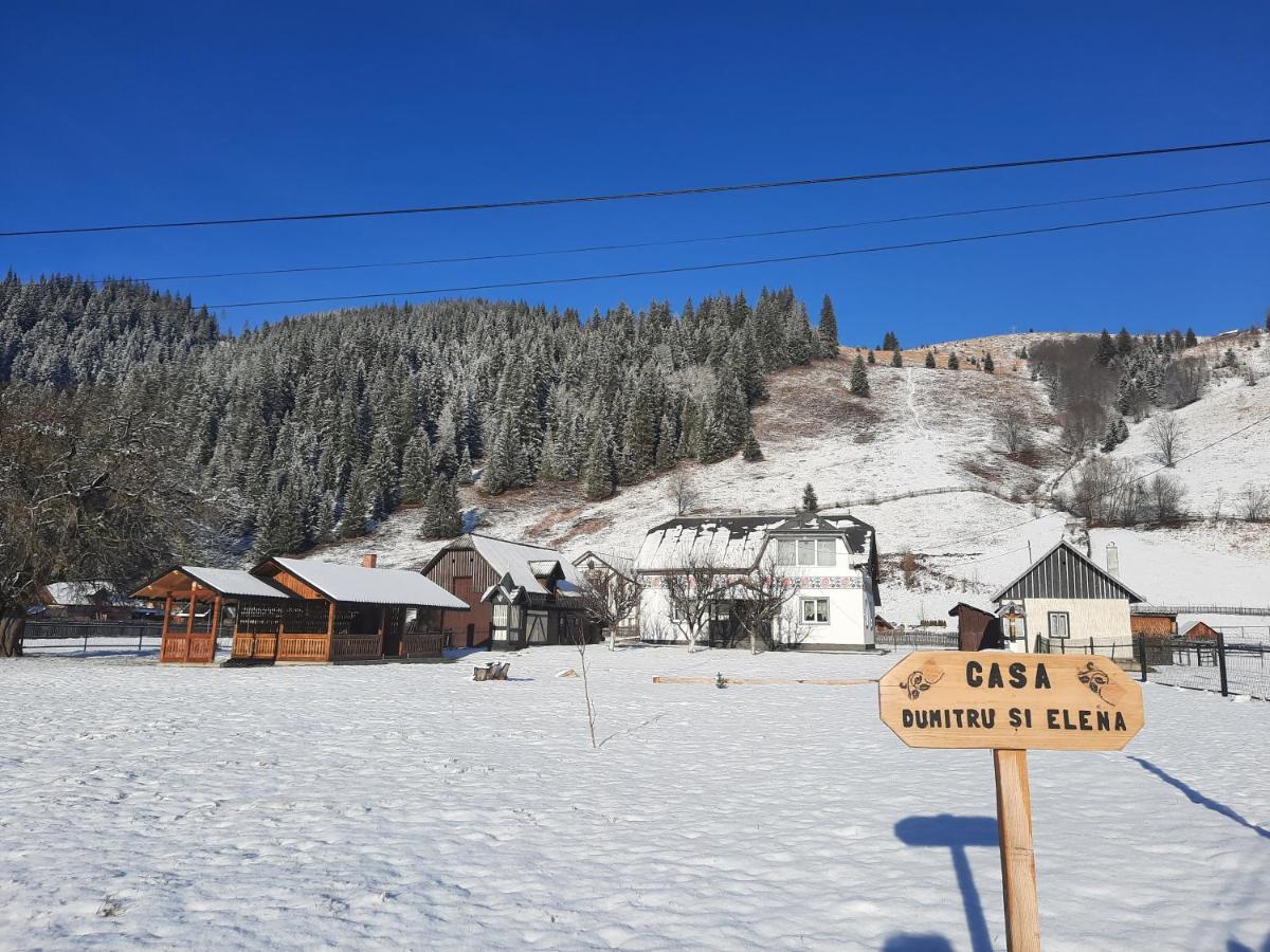 Casa Dumitru Si Elena Ciocanesti Bucovina Luaran gambar