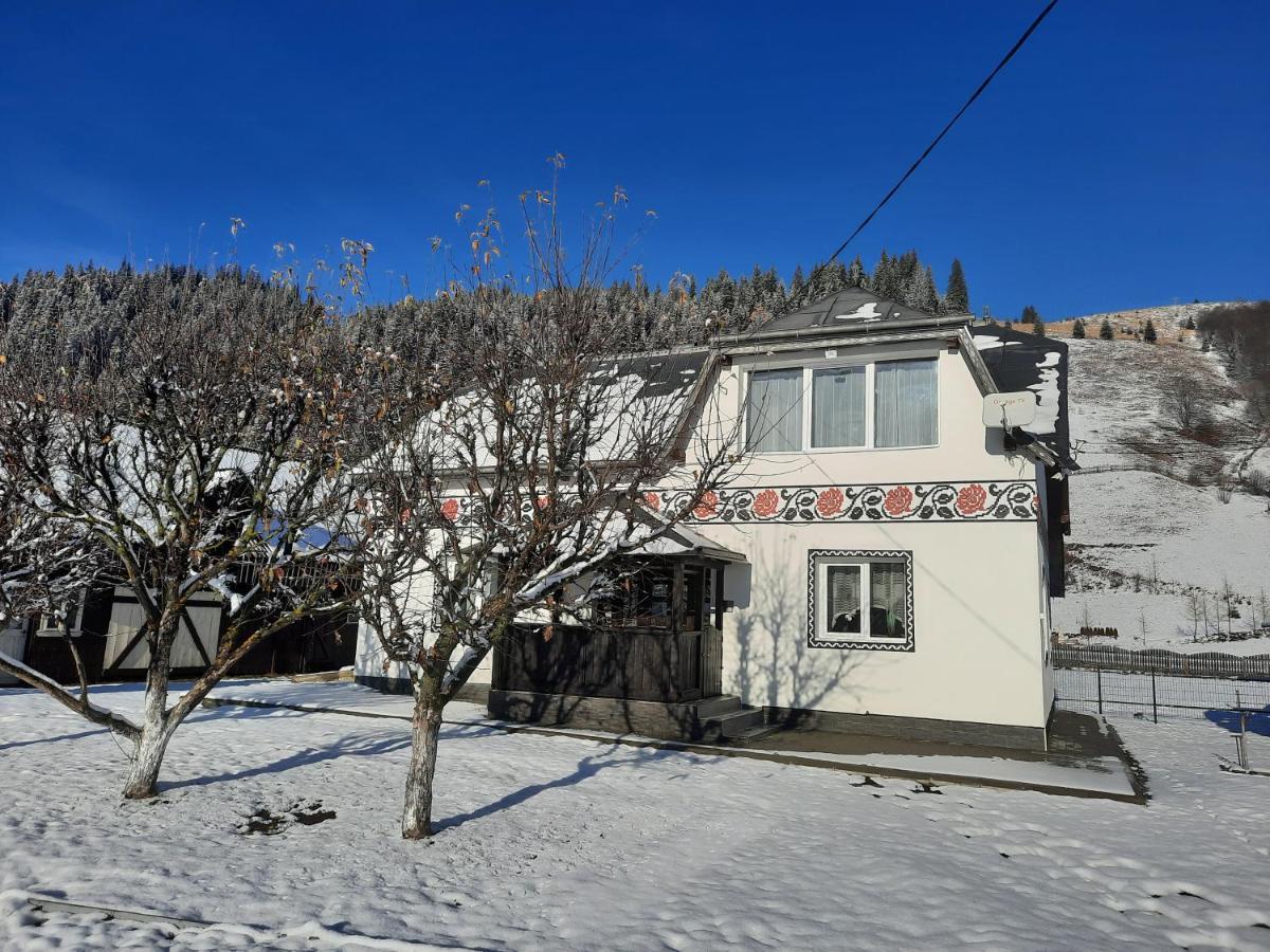 Casa Dumitru Si Elena Ciocanesti Bucovina Luaran gambar