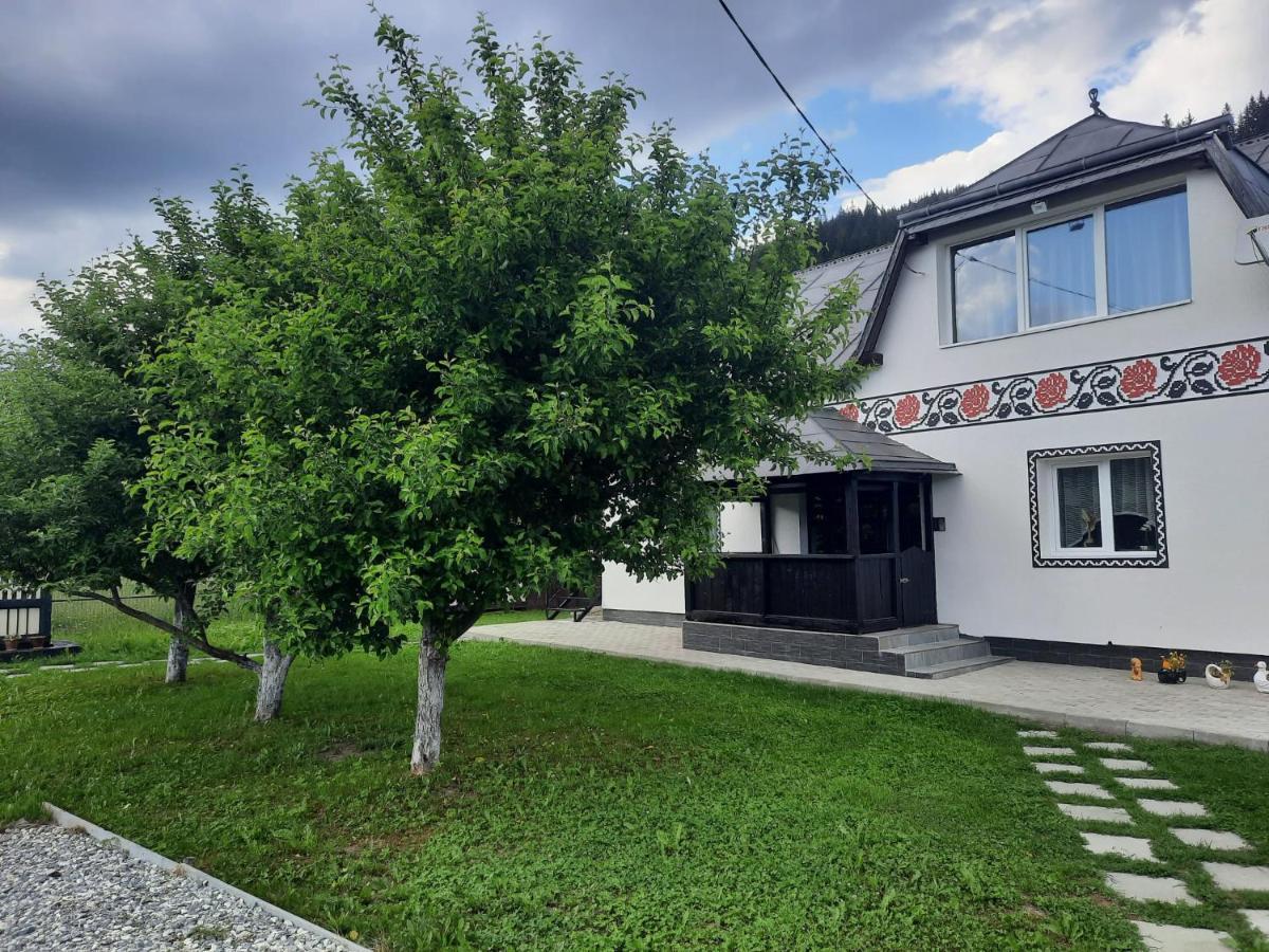 Casa Dumitru Si Elena Ciocanesti Bucovina Luaran gambar