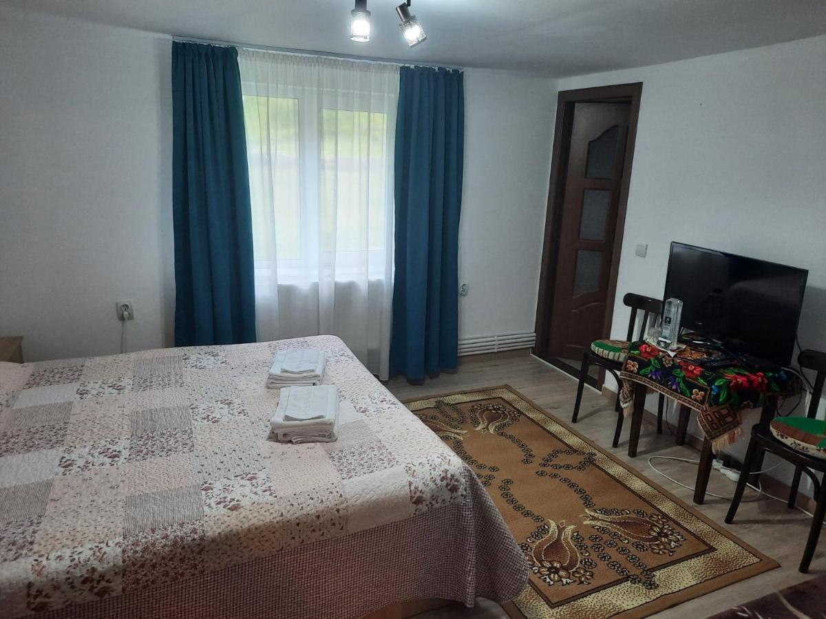 Casa Dumitru Si Elena Ciocanesti Bucovina Luaran gambar