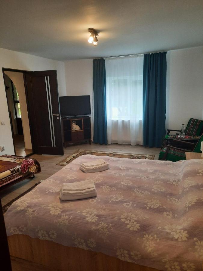 Casa Dumitru Si Elena Ciocanesti Bucovina Luaran gambar