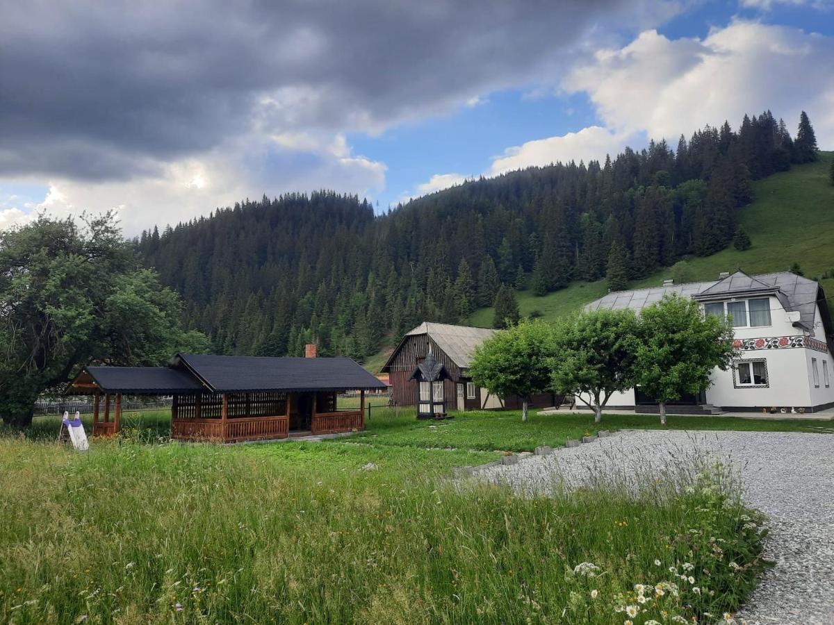 Casa Dumitru Si Elena Ciocanesti Bucovina Luaran gambar