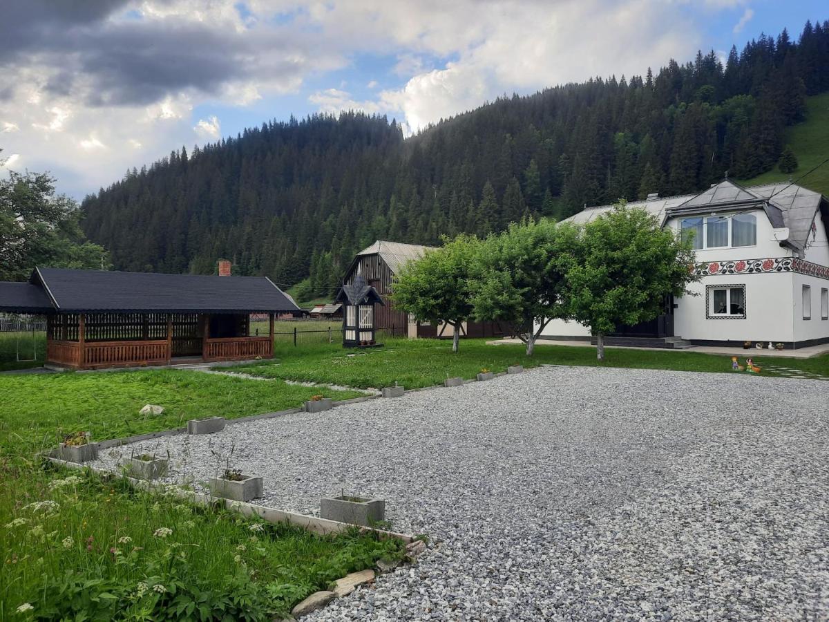 Casa Dumitru Si Elena Ciocanesti Bucovina Luaran gambar