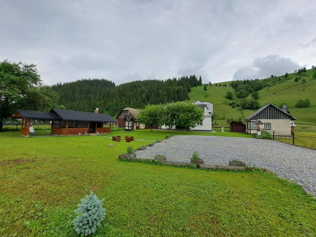 Casa Dumitru Si Elena Ciocanesti Bucovina Luaran gambar