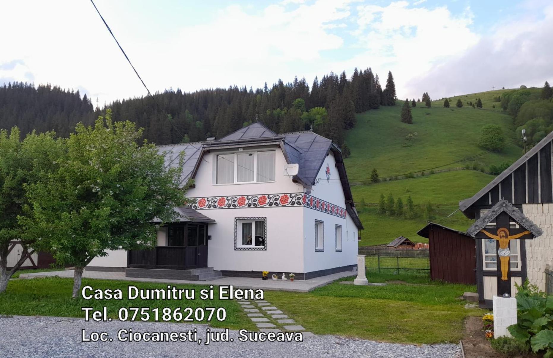 Casa Dumitru Si Elena Ciocanesti Bucovina Bilik gambar